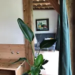 Stillleben Luxus Fuer Seele