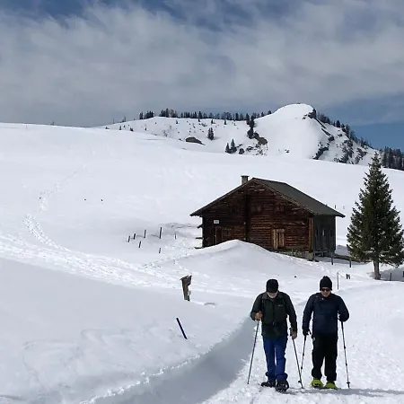 Stillleben Luxus Fuer Seele