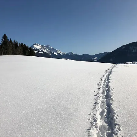 Lägenhet Stillleben Luxus Fuer Seele *
