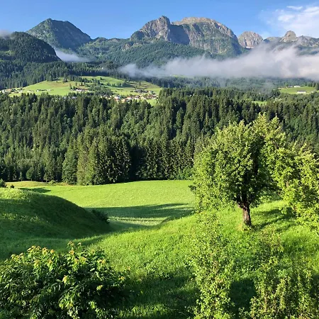 Appartamento Stillleben Luxus Fuer Seele