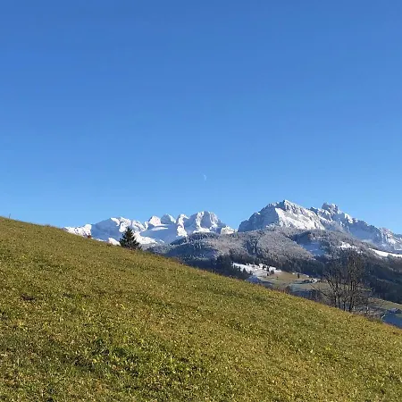 Stillleben Luxus Fuer Seele אבטנאו