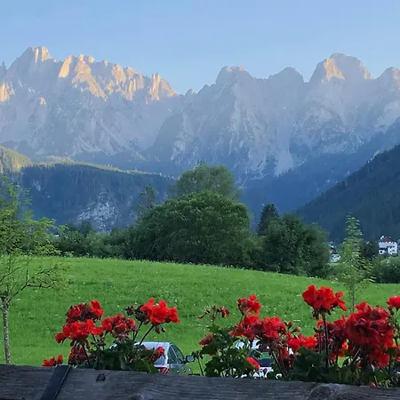 Stillleben Luxus Fuer Seele דירה אבטנאו