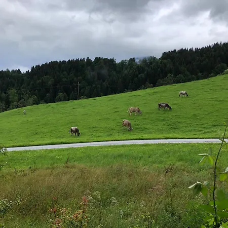 Stillleben Luxus Fuer Seele *