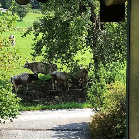 アパート Stillleben Luxus Fuer Seele アプテナウ