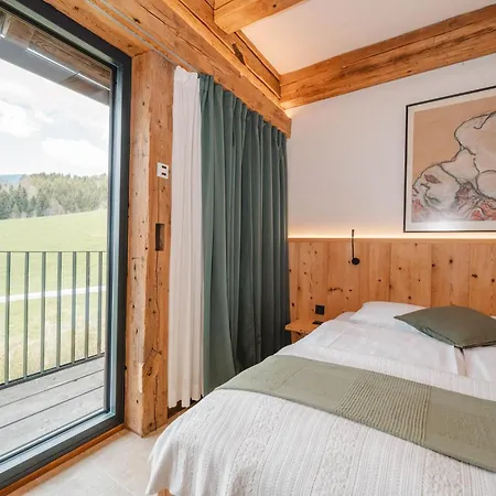 Stillleben Luxus Fuer Seele Apartment Abtenau