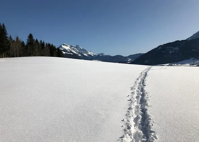 Lägenhet Stillleben Luxus Fuer Seele *
