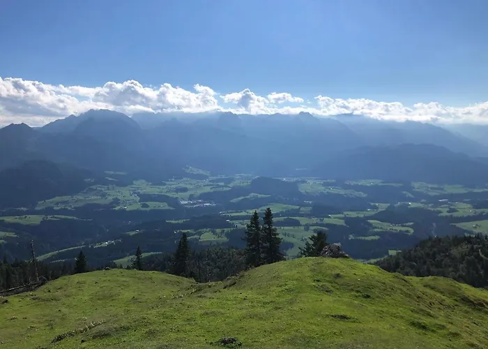 Stillleben Luxus Fuer Seele Lägenhet