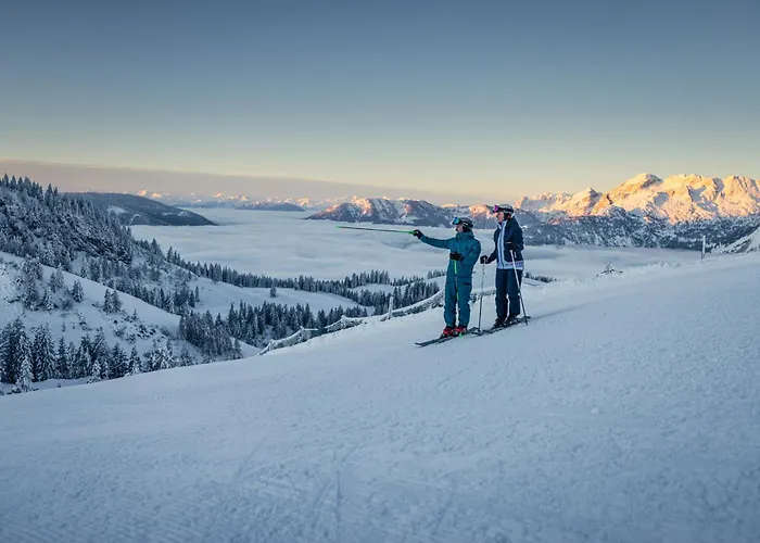 Stillleben Luxus Fuer Seele Διαμέρισμα *