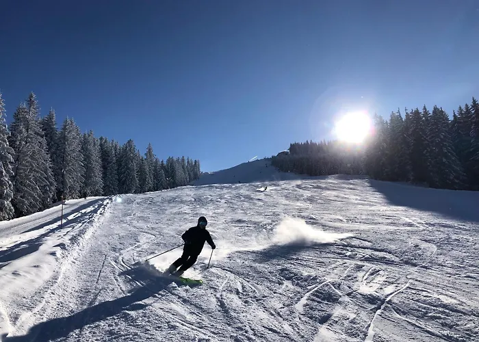 Stillleben Luxus Fuer Seele Lägenhet