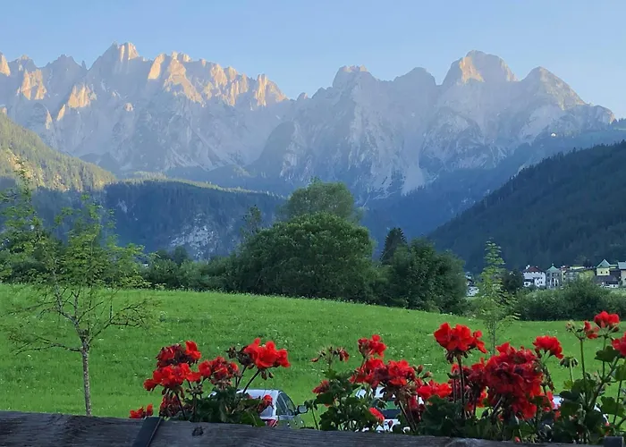 Stillleben Luxus Fuer Seele Appartement Abtenau