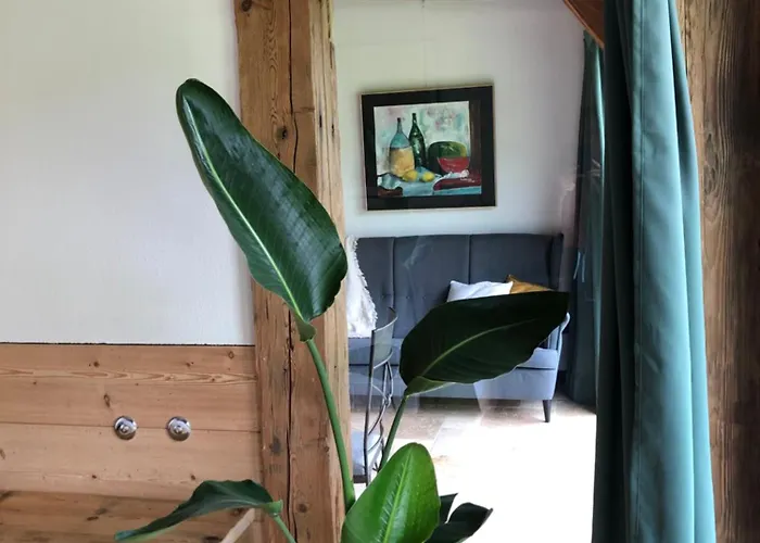 Stillleben Luxus Fuer Seele