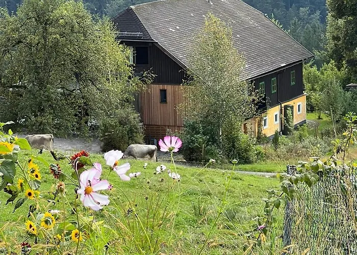 Stillleben Luxus Fuer Seele