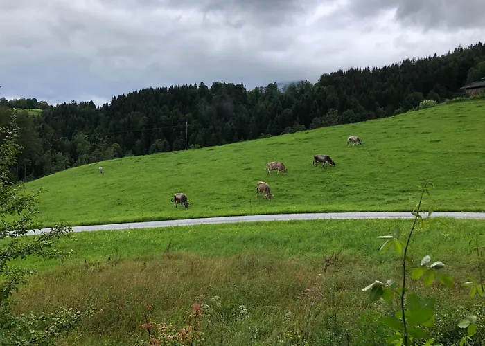 Stillleben Luxus Fuer Seele *