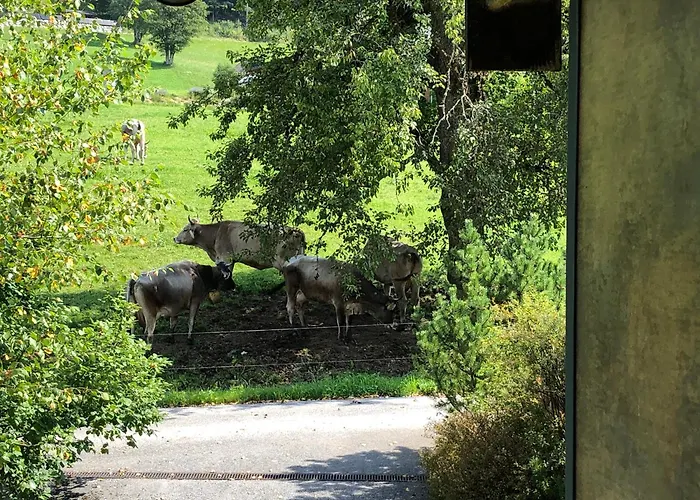 Lägenhet Stillleben Luxus Fuer Seele Abtenau