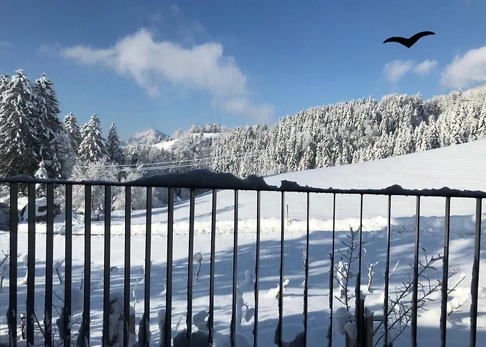 Lägenhet Stillleben Luxus Fuer Seele Abtenau