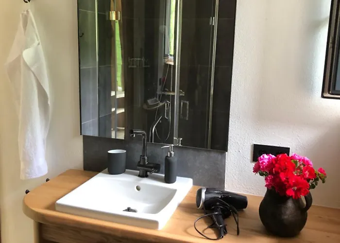 Stillleben Luxus Fuer Seele Appartement Abtenau